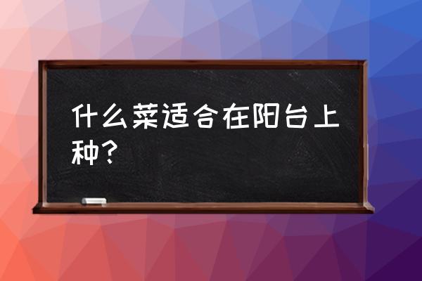 家庭阳台种菠菜的正确方法 什么菜适合在阳台上种？