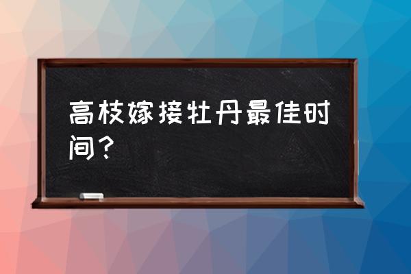 果树高枝嫁接技巧 高枝嫁接牡丹最佳时间？