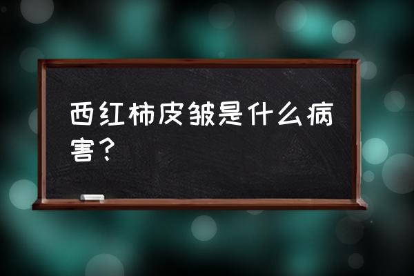 西红柿脐腐病最简单防治方法 西红柿皮皱是什么病害？