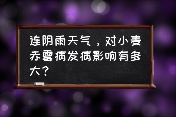 小麦赤霉病什么时间防治效果最好 连阴雨天气，对小麦赤霉病发病影响有多大？