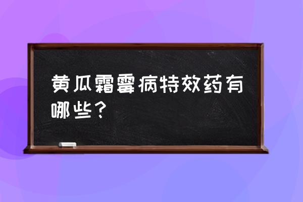 黄瓜霜霉病症状 黄瓜霜霉病特效药有哪些？