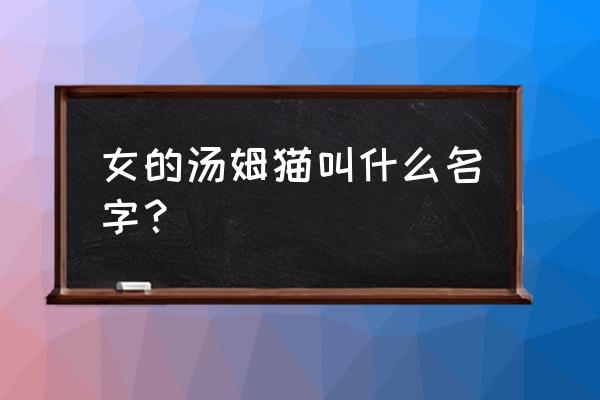 汤姆猫中的老鼠叫什么 女的汤姆猫叫什么名字？