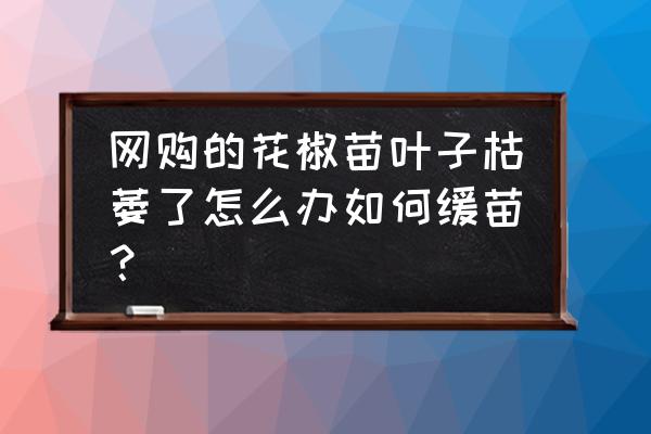 花椒盆景的养殖方法 网购的花椒苗叶子枯萎了怎么办如何缓苗？