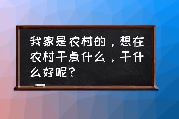 钙果收购厂家 我家是农村的，想在农村干点什么，干什么好呢？