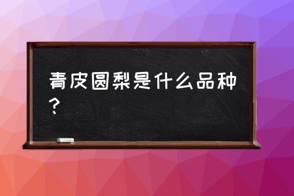 雪梨之乡金川镇旅游攻略 青皮圆梨是什么品种？