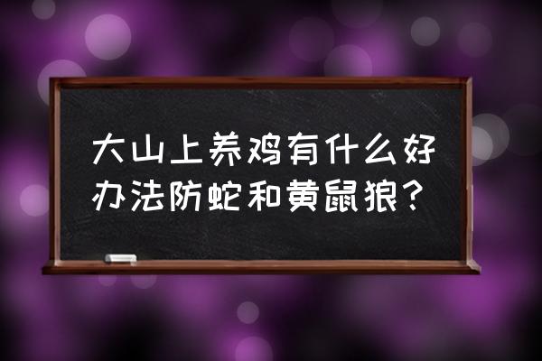 鸡舍日常管理十大绝招 大山上养鸡有什么好办法防蛇和黄鼠狼？