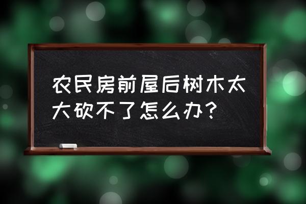 种植树木最好的技术 农民房前屋后树木太大砍不了怎么办？