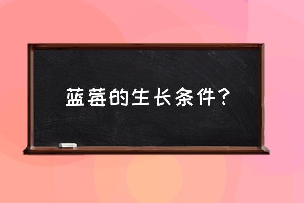 蓝莓种植需要的土质和条件 蓝莓的生长条件？