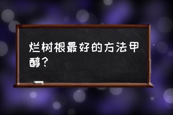 什么是土办法可以杀死树根 烂树根最好的方法甲醇？