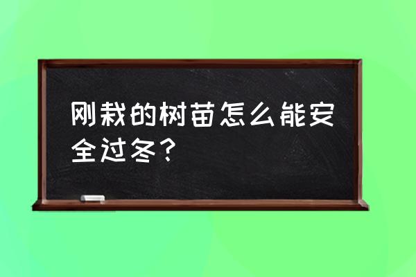 秋冬季苗木养护方案 刚栽的树苗怎么能安全过冬？