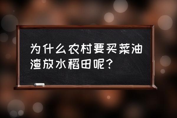 菜籽油饼肥的正确使用方法 为什么农村要买菜油渣放水稻田呢？