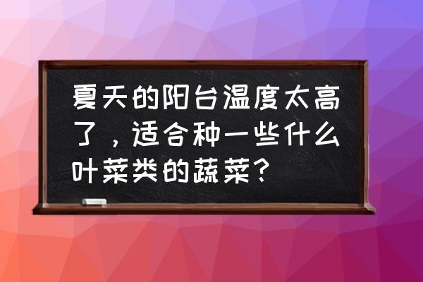 阳台怎么种葱妙招 夏天的阳台温度太高了，适合种一些什么叶菜类的蔬菜？