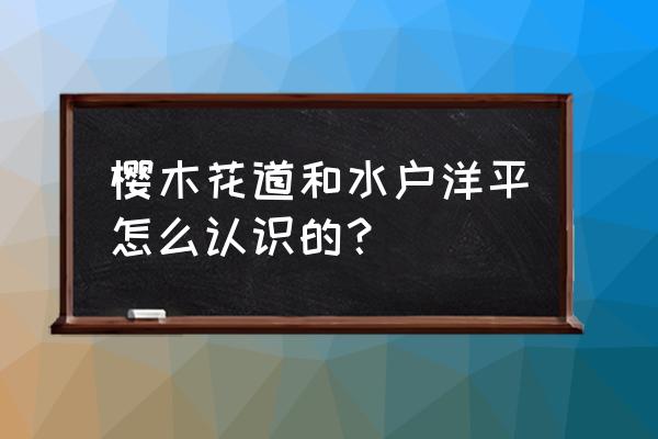 灌篮高手樱木花道简笔画步骤 樱木花道和水户洋平怎么认识的？