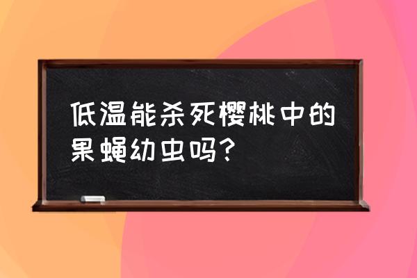 樱桃果蝇用什么农药防治 低温能杀死樱桃中的果蝇幼虫吗？