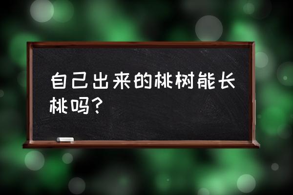 桃核种植能长出原来一样的桃子吗 自己出来的桃树能长桃吗？