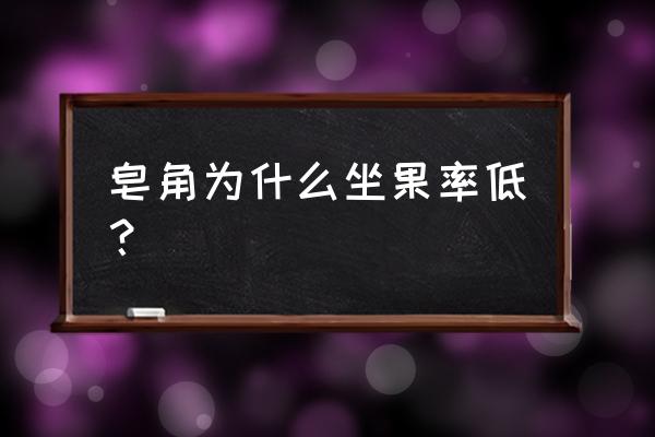 皂角树最佳种植时间 皂角为什么坐果率低？