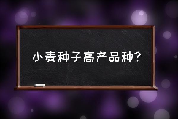 小麦高产秘方 小麦种子高产品种？