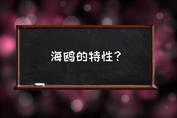 海鸥的眼睛和嘴巴有什么特点 海鸥的特性？