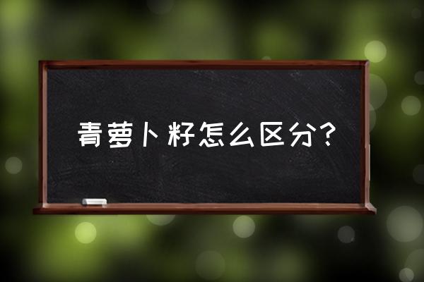 什么样的萝卜籽治病最好 青萝卜籽怎么区分？