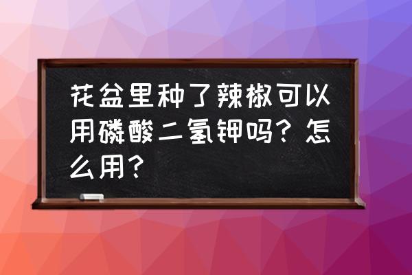 盆栽青椒怎么养才能更旺盛 花盆里种了辣椒可以用磷酸二氢钾吗？怎么用？