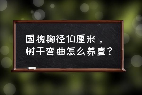 国槐怎么养殖长得快 国槐胸径10厘米，树干弯曲怎么养直？