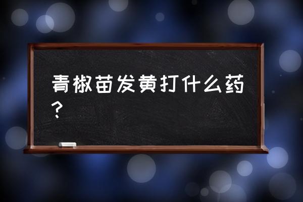 辣椒叶子发黄怎么解决 青椒苗发黄打什么药？