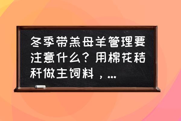 冬季给羊补什么最好 冬季带羔母羊管理要注意什么？用棉花秸秆做主饲料，还要补配什么饲料让小羊羔长得快？