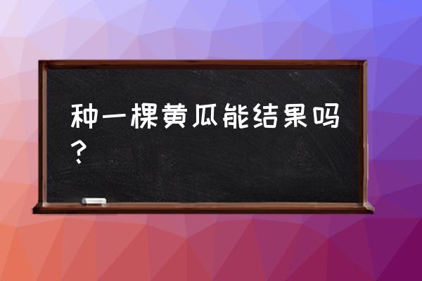 黄瓜怎么才能多结果 种一棵黄瓜能结果吗？