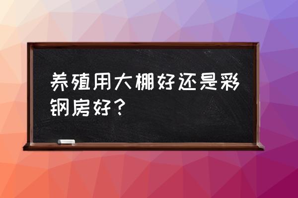 猪舍怎么建便宜好用 养殖用大棚好还是彩钢房好？