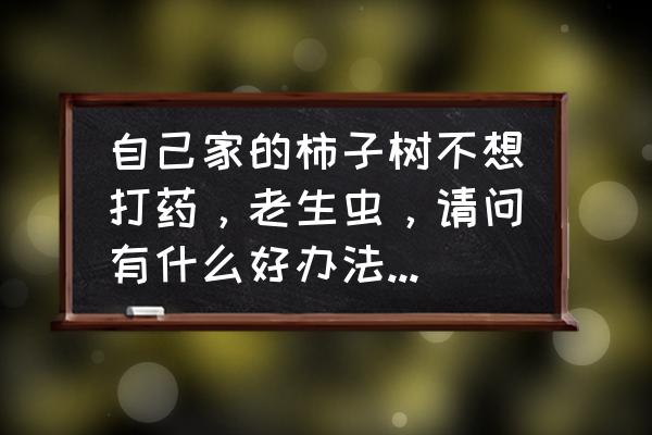 柿子树果实太小怎么办 自己家的柿子树不想打药，老生虫，请问有什么好办法消灭虫子吗？