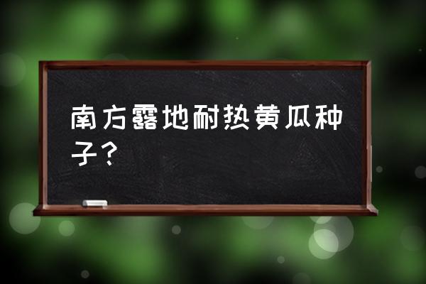 目前最好的黄瓜种子 南方露地耐热黄瓜种子？