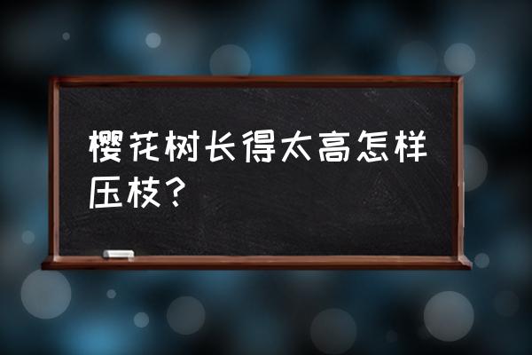 樱花树下怎么拍出美照 樱花树长得太高怎样压枝？