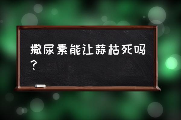 为什么尿素烧得特别快 撒尿素能让蒜枯死吗？