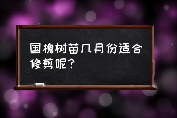 一级国槐移栽后一年修剪标准 国槐树苗几月份适合修剪呢？