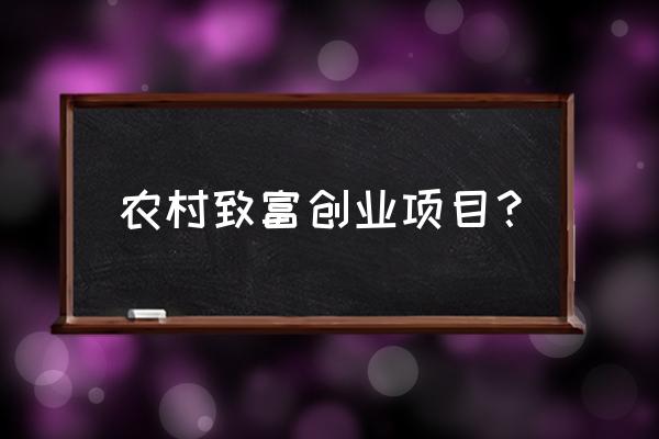 农村个人怎么创业致富 农村致富创业项目？