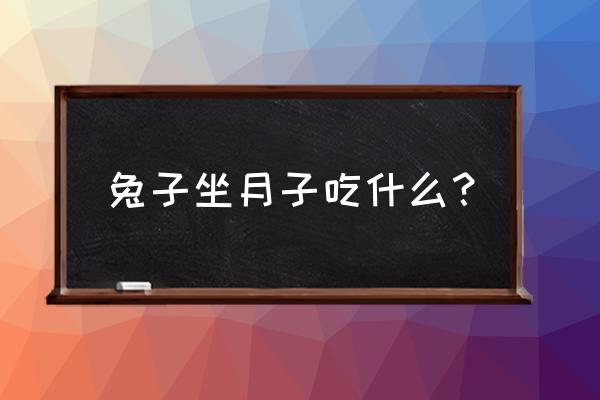 豆浆和花生饼哪个好吃 兔子坐月子吃什么？