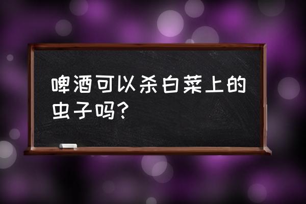 不用农药20种杀菜虫方法 啤酒可以杀白菜上的虫子吗？