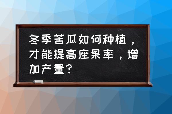 苦瓜如何促进雌花芽分化 冬季苦瓜如何种植，才能提高座果率，增加产量？