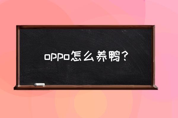 梦想城镇怎样添加饲料厂 oppo怎么养鸭？