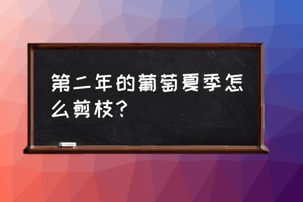 葡萄藤第二年怎么剪枝 第二年的葡萄夏季怎么剪枝？