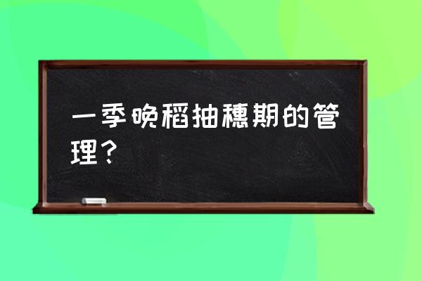 稻谷抽穗的上句 一季晚稻抽穗期的管理？