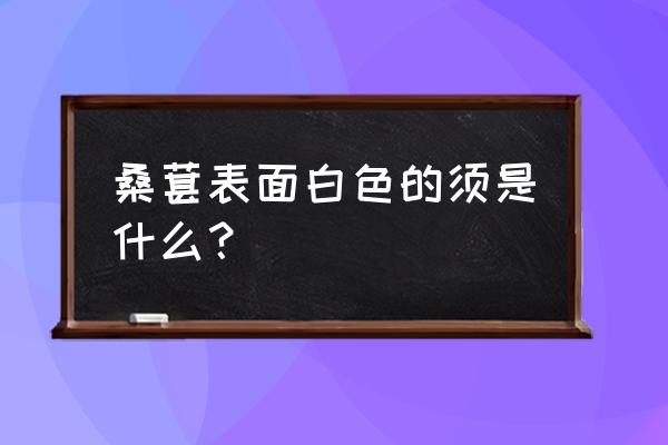 吃了长白毛的桑葚会怎样 桑葚表面白色的须是什么？