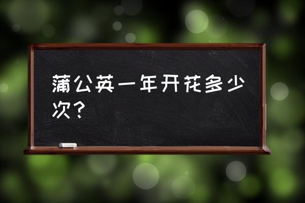 野刺梨几年开花结果 蒲公英一年开花多少次？