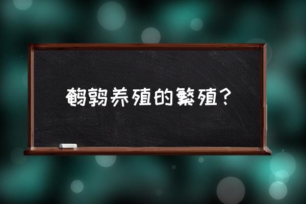 鹌鹑出壳需要喂什么药吗 鹌鹑养殖的繁殖？