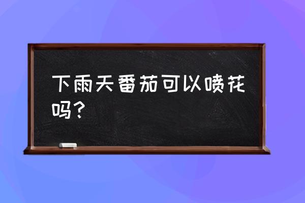 西红柿下雨怎么补救 下雨天番茄可以喷花吗？