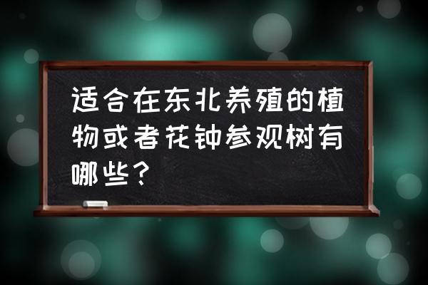 春天二三月适合种植哪些绿植 适合在东北养殖的植物或者花钟参观树有哪些？