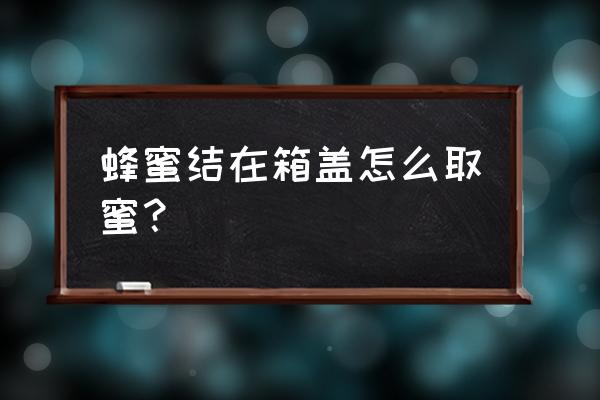 我的世界蜂箱怎么收蜂蜜 蜂蜜结在箱盖怎么取蜜？