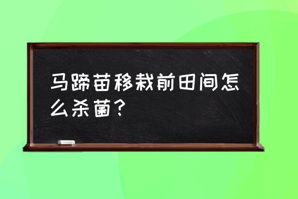 马蹄主要病害图片以及用药 马蹄苗移栽前田间怎么杀菌？