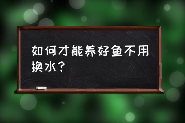 我的世界如何养鱼不会消失 如何才能养好鱼不用换水？