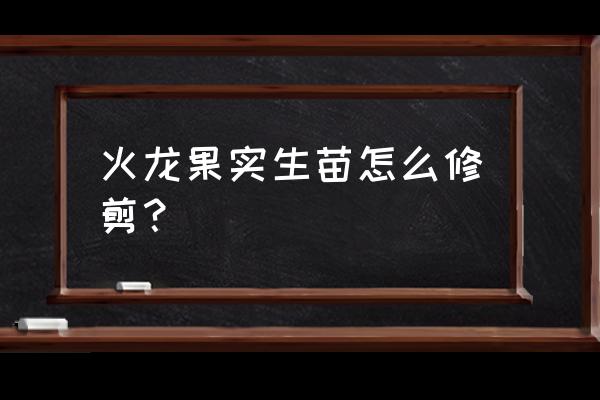 火龙果修剪技巧 火龙果实生苗怎么修剪？